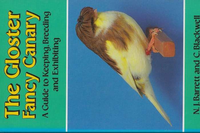 the gloster fancy canary – a guide to keeping, breeding and exhi