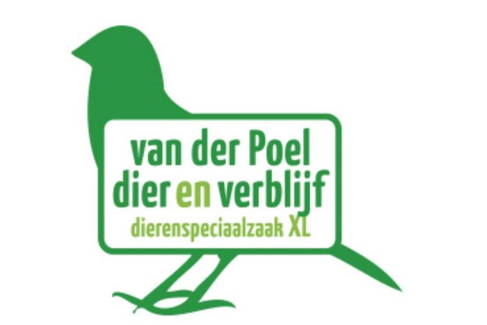 vogels te koop gevraagd