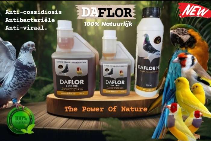 daflor 3in1 mix 250ml