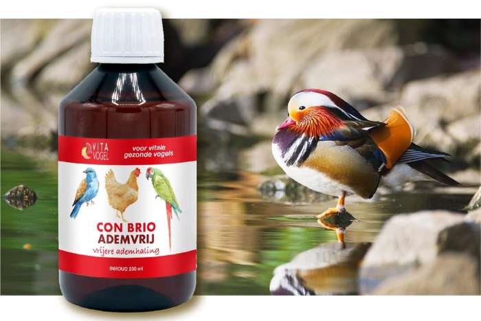 con brio - adem vrij - 100ml - vita vogel