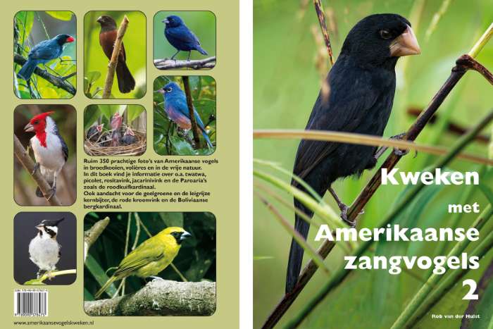 kweken met amerikaanse zangvogels deel 2