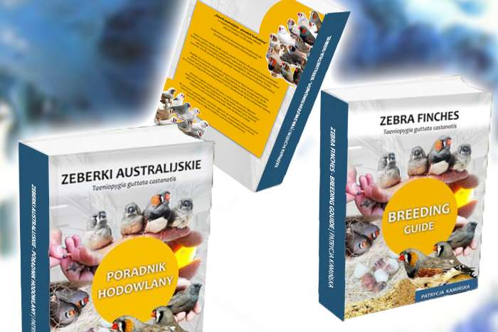 new book 2025 zebra finches - breeding guide