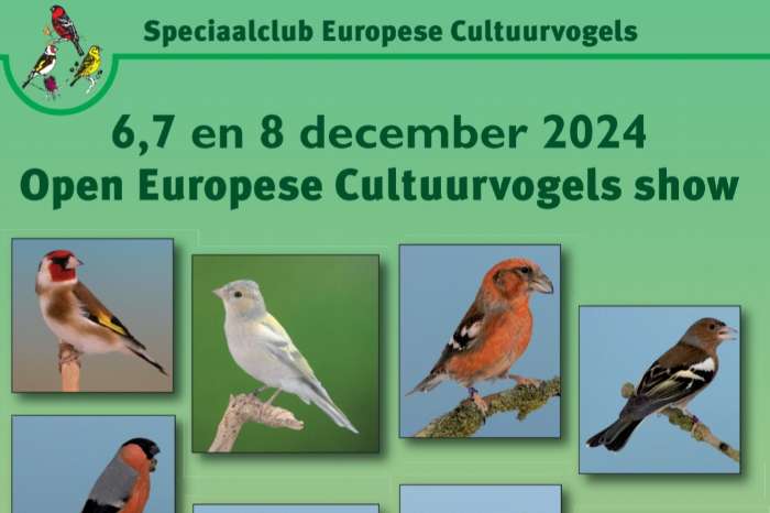 grootste europese cultuurvogelshow van nederland