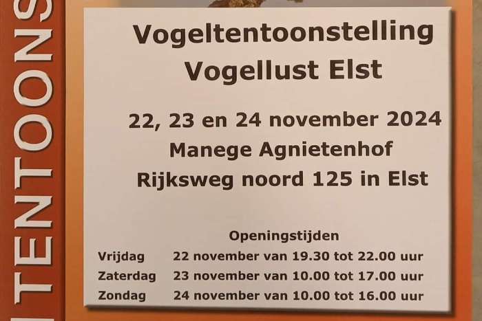 vogeltentoonstelling