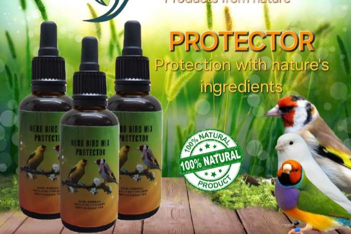 protector 50ml - herb bird products