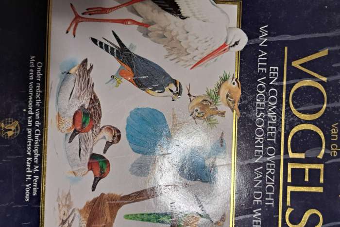 geillustreerde encyclopedie vd vogels